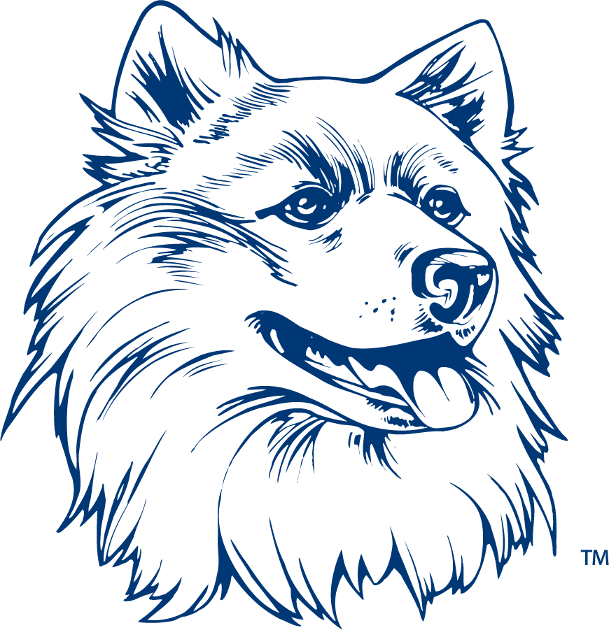 UConn Huskies 1981-2002 Secondary Logo diy iron on heat transfer